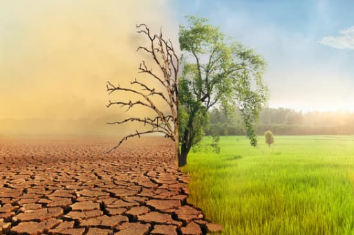 5 tips for breaking down climate change for kids
